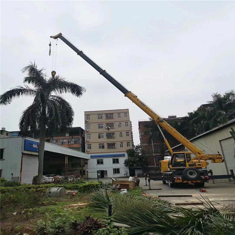 洛宁汽车吊出租多少钱？全面解析与市场行情